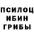 Галлюциногенные грибы Psilocybe Fynn Kowert