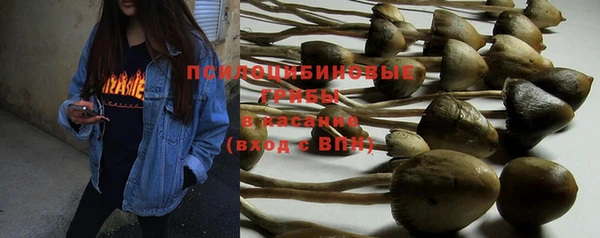мет Михайловск