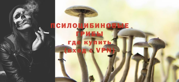 ECSTASY Долгопрудный