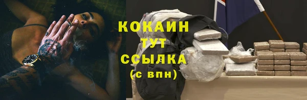 сатива Михайлов