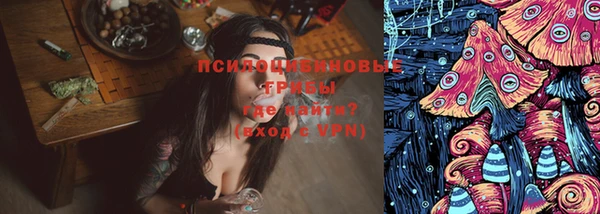 сатива Михайлов