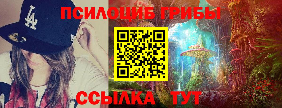 Галлюциногенные грибы Psilocybe  Вход с VPN  Тейково 