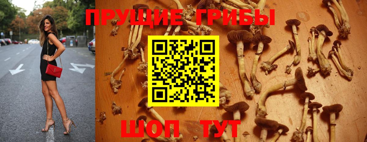 Галлюциногенные грибы GOLDEN TEACHER  Тейково 